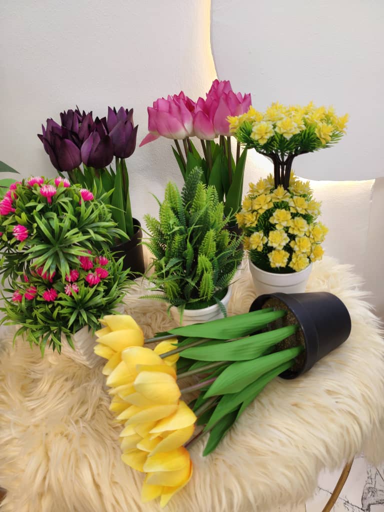 Interior Designing Masterpiece