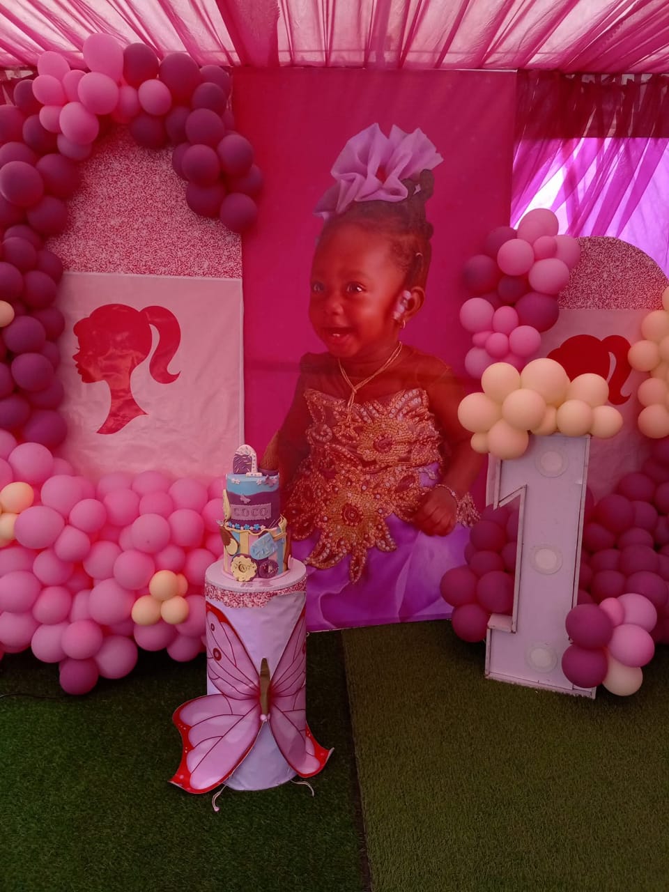 Kiddies birthday setup
